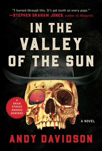 In the Valley of the Sun: A Novel book cover by Andy Davidson