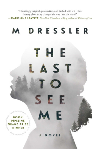 The Last to See Me: The Last Ghost Series, Book One (The Last Ghost Series) book cover by M Dressler