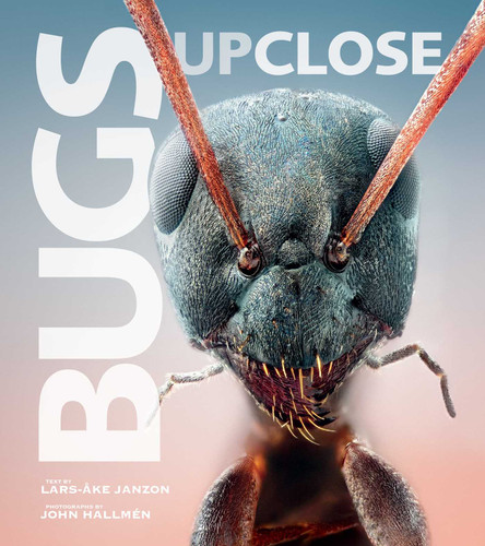 Bugs Up Close: A Magnified Look at the Incredible World of Insects book cover by 