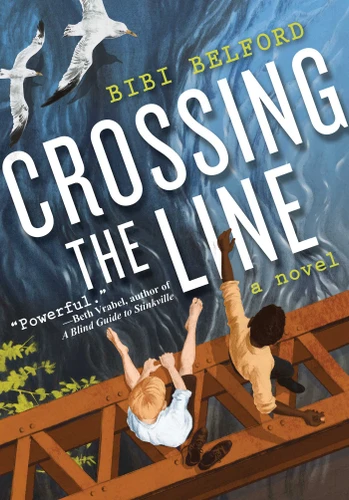 Crossing the Line: A Novel book cover by Bibi Belford