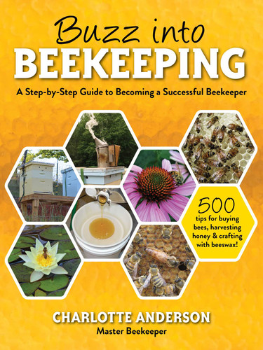 Buzz into Beekeeping: A Step-by-Step Guide to Becoming a Successful Beekeeper book cover by Charlotte Anderson