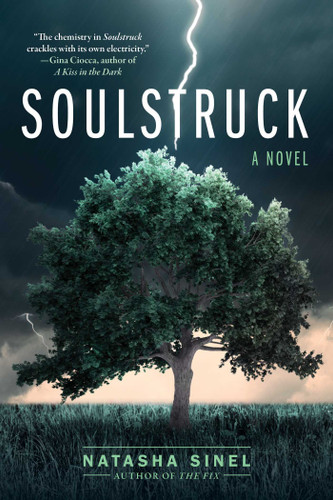 Soulstruck: A Novel book cover by Natasha Sinel