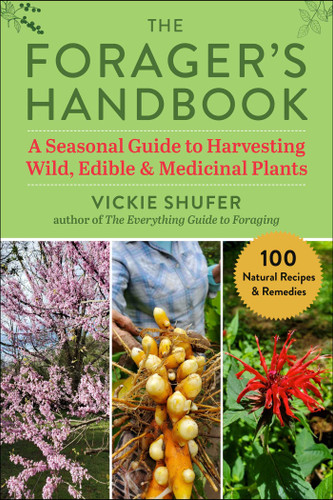The Forager's Handbook: A Seasonal Guide to Harvesting Wild, Edible & Medicinal Plants book cover by Vickie Shufer