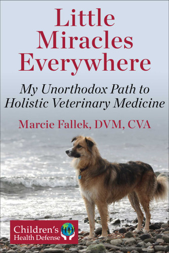 Little Miracles Everywhere: My Unorthodox Path to Holistic Veterinary Medicine book cover by Marcie Fallek