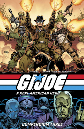 G.I. Joe: A Real American Hero Compendium Vol. 3 (G.I. Joe) book cover by Larry Hama, Herb Trimpe, Michael Fleisher