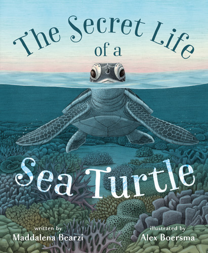 The Secret Life of a Sea Turtle book cover by Maddalena Bearzi