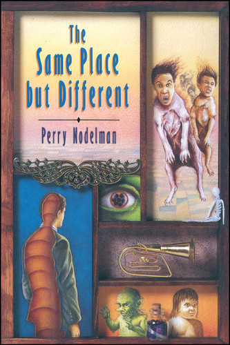 The Same Place But Different book cover by Perry Nodelman