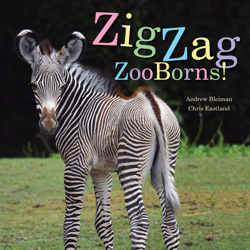 ZigZag ZooBorns!: Zoo Baby Colors and Patterns (ZooBorns) book cover by Andrew Bleiman, Chris Eastland
