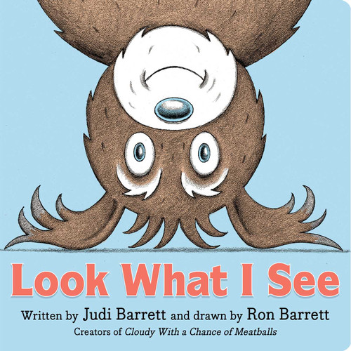 Look What I See book cover by Judi Barrett