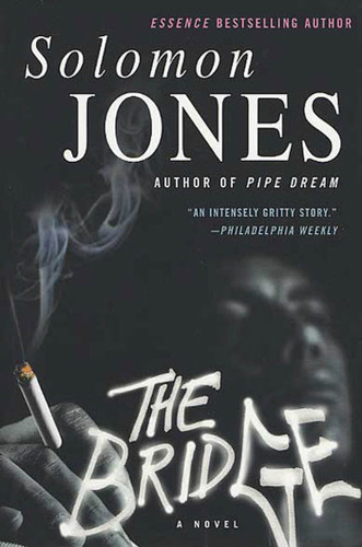 The Bridge: A Novel book cover by Solomon Jones