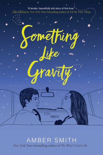 Something Like Gravity book cover by Amber Smith