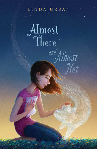 Almost There and Almost Not book cover by Linda Urban