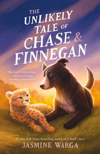 The Unlikely Tale of Chase and Finnegan (Chase and Finnegan) book cover by Jasmine Warga