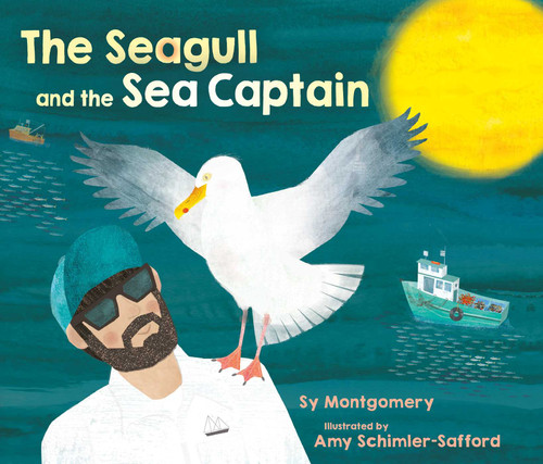 The Seagull and the Sea Captain book cover by Sy Montgomery