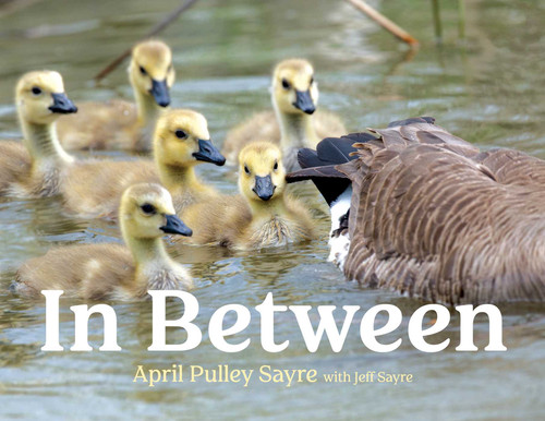 In Between book cover by April Pulley Sayre