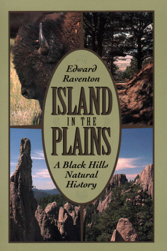 Island in the Plains book cover by Edward Raventon