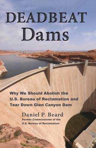Deadbeat Dams book cover by Daniel P. Beard