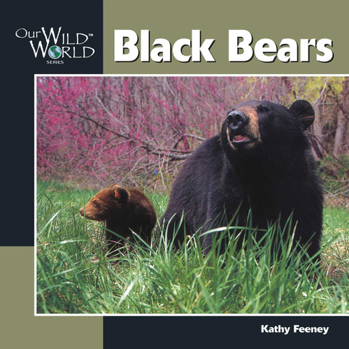 Black Bear (Our Wild World) book cover by Kathy Feeney