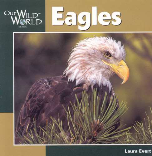 Eagles (Our Wild World) book cover by Laura Evert