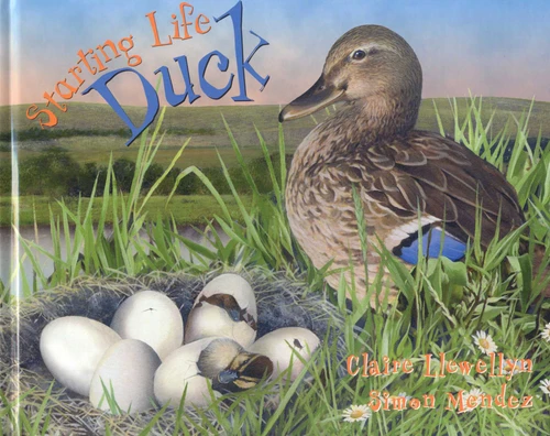Starting Life: Duck (Starting Life) book cover by Claire Llewellyn