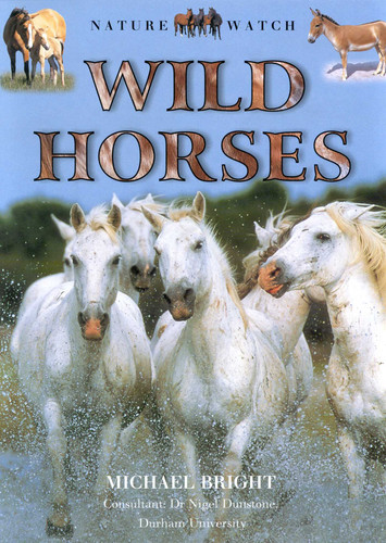 Wild Horses (Our Wild World) book cover by Julia Vogel