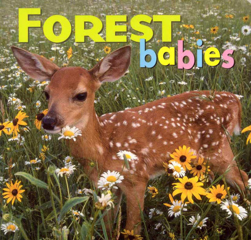 Forest Babies (Animal Babies) book cover by Kristen McCurry