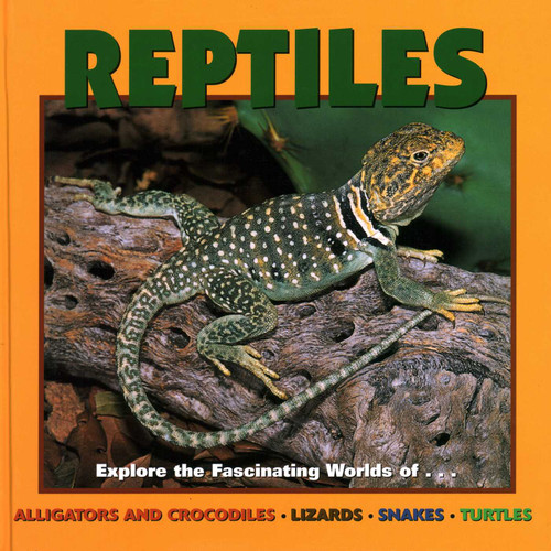 Reptiles (Our Wild World) book cover by Deborah Dennard
