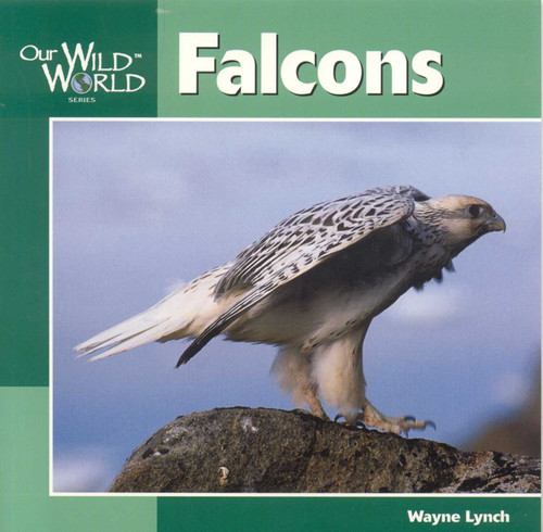 Falcons (Our Wild World) book cover by Wayne Lynch