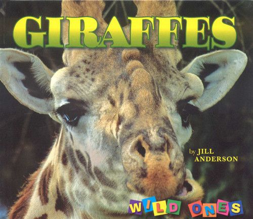 Giraffes (Wild Ones) book cover by Jill Anderson