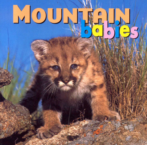 Mountain Babies (Animal Babies) book cover by Kristen McCurry