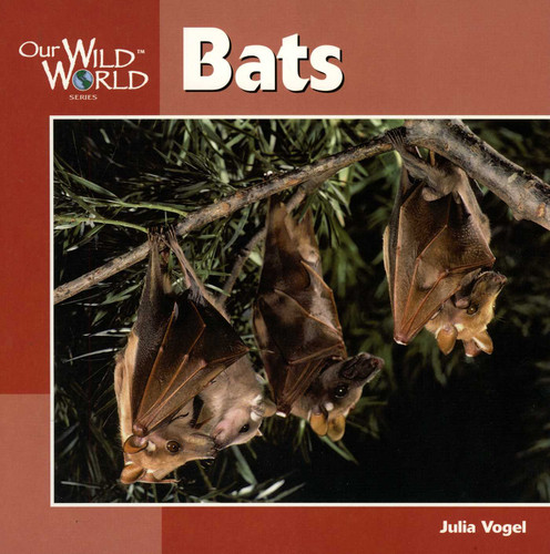 Bats (Our Wild World) book cover by Julia Vogel