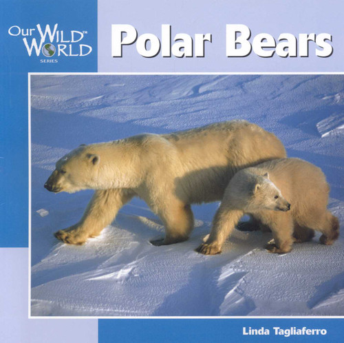 Polar Bears (Wild Ones) book cover by Jill Anderson