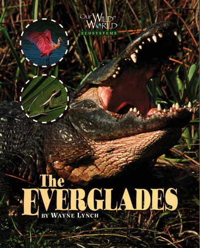 Everglades (Our Wild World) book cover by Wayne Lynch