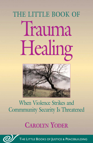 Little Book of Trauma Healing: When Violence Strikes And Community Security Is Threatened book cover by Carolyn Yoder