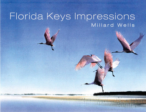 Florida Keys Impressions book cover by Millard Wells