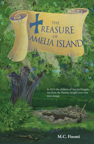 The Treasure of Amelia Island (Florida Historical Fiction for Youth) book cover by M C Finotti