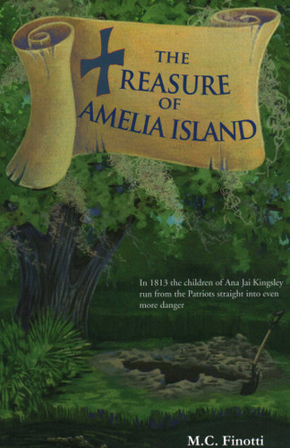 The Treasure of Amelia Island (Florida Historical Fiction for Youth) book cover by M C Finotti