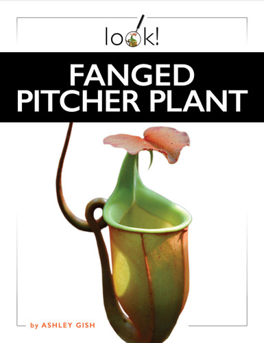 Fanged Pitcher Plant book cover by Ashley Gish