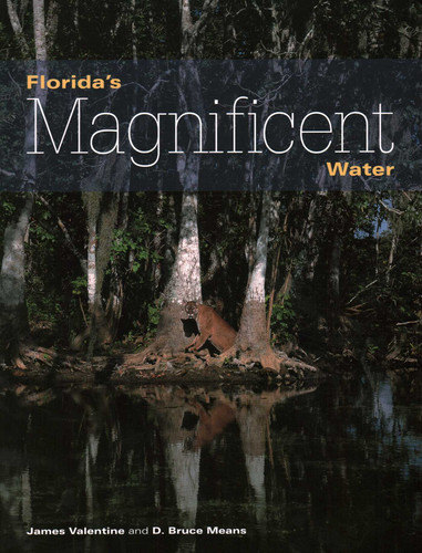 Florida's Magnificent Water (Florida Magnificent Wilderness) book cover by James Valentine, D. Bruce Means