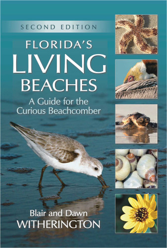 Florida's Living Beaches: A Guide for the Curious Beachcomber book cover by Blair Witherington