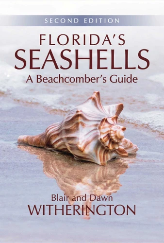Florida's Seashells: A Beachcomber's Guide book cover by Blair Witherington