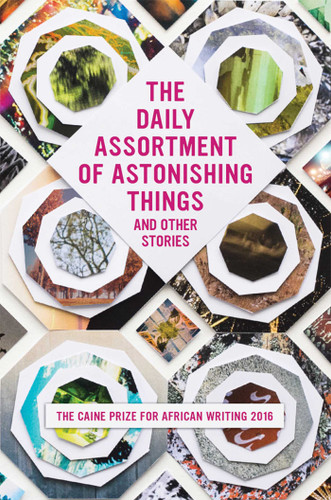 The Daily Assortment of Astonishing Things and Other Stories: The Caine Prize for African Writing 2016 book cover by Lizzy Attree