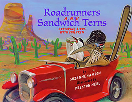 Road Runners & Sandwich Terns: Exploring Birds with Children book cover by Suzanne Samson