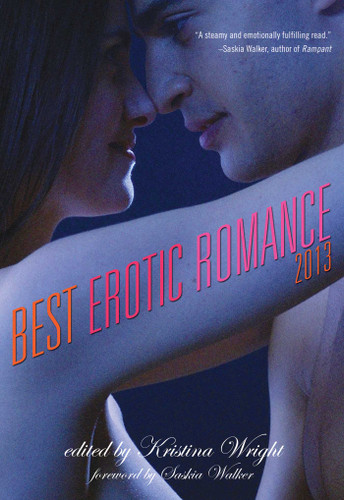 Best Erotic Romance 2013 (Best Erotic Romance) book cover by 