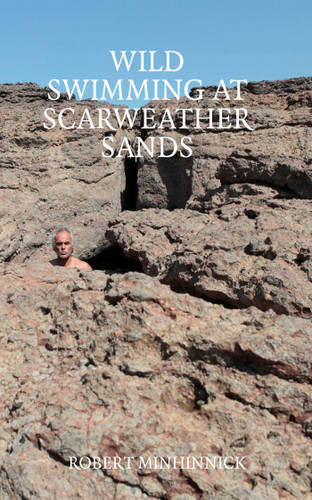 Wild Swimming at Scarweather Sands book cover by Robert Minhinnick