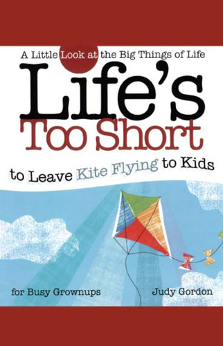 Life's too Short to Leave Kite Flying to Kids: A Little Look at the Big Things in Life book cover by Judy Gordon