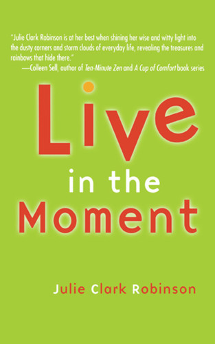 Live In The Moment book cover by Julie Clark Robinson