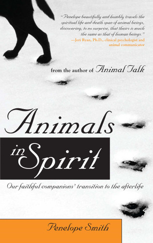 Animals in Spirit: Our Faithful Companions' Transition to the Afterlife (Animal Talk series) book cover by Penelope Smith