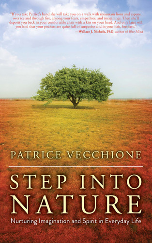 Step into Nature: Nurturing Imagination and Spirit in Everyday Life book cover by Patrice Vecchione