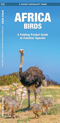 Africa Birds: A Folding Pocket Guide to Familiar Species (International Birds) book cover by James Kavanagh